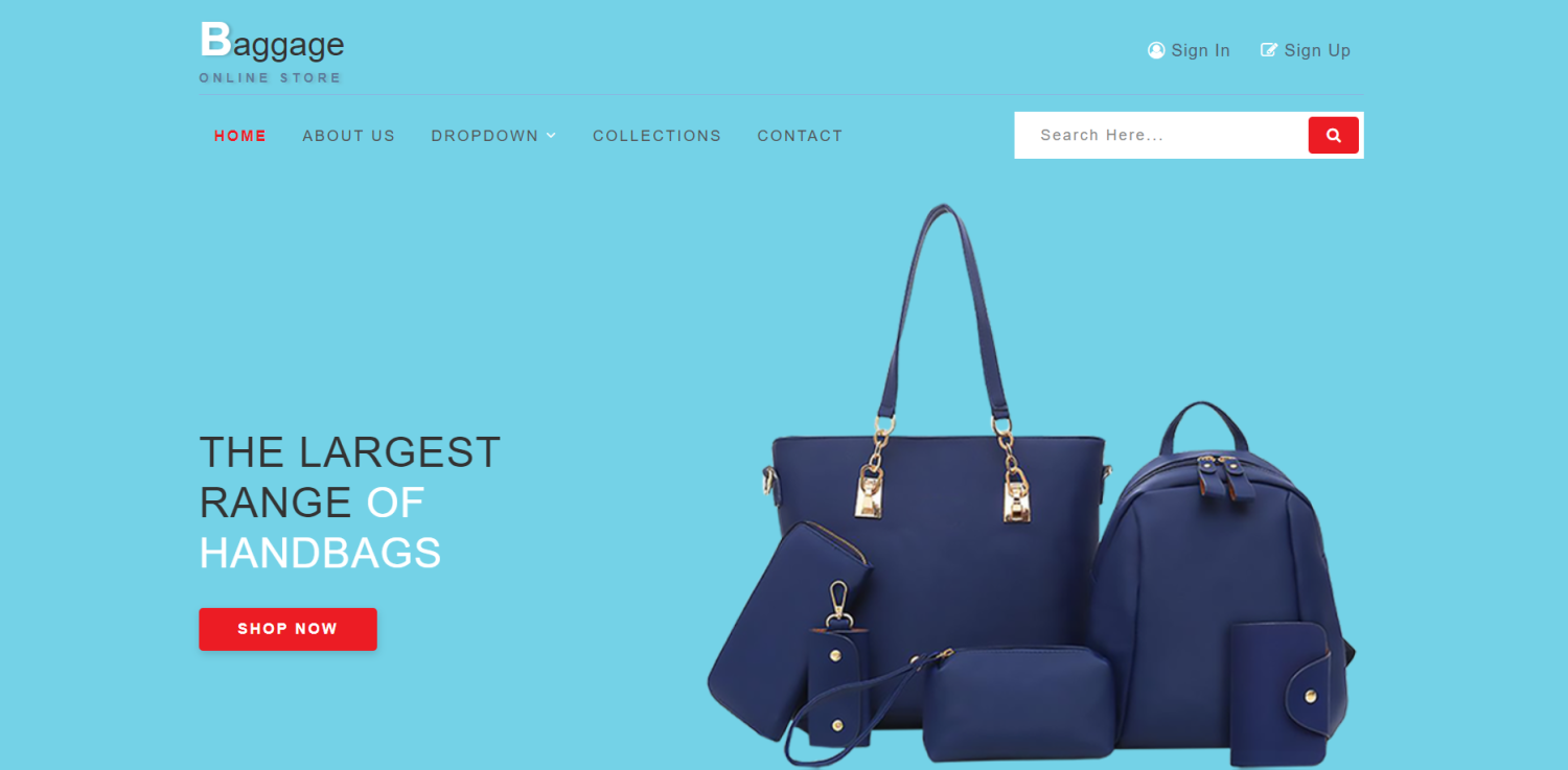 Baggage – E-commerce Category Bootstrap Responsive Web Template zebyoo